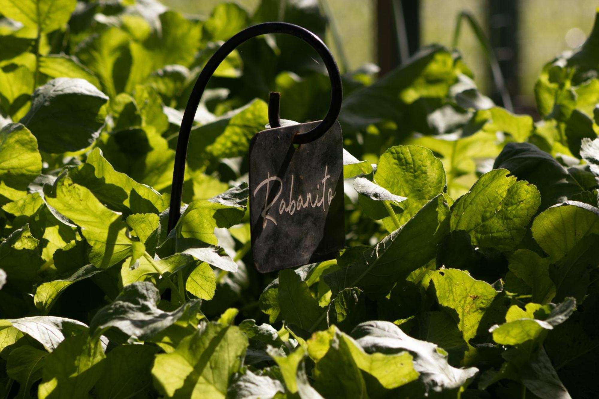El Colibri - Relais & Chateaux Santa Catalina  Εξωτερικό φωτογραφία